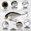 LUCKY CRAFT Fat CB BDS2, Fishing Lure, Crankbait (183 Pearl