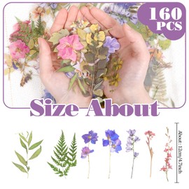 simarro 8 Packs of Transparent Flower Stickers (160 Pieces) Pressed Flower Themed Sticker Set, PET Natural Plant Scrapbook Stickers, for Scrapbooking Supplies, Diaries, Cell Phones, Laptops
