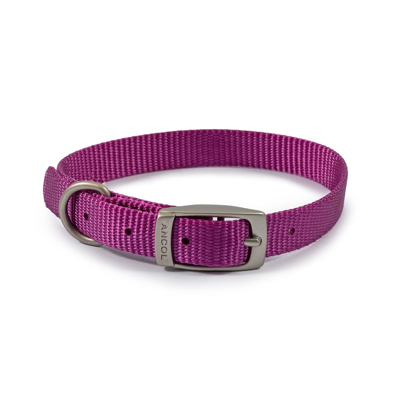Ancol Viva Comfortable Durable Safe Weatherproof Purple Dogs Buckle Collar
