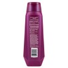 Infusium, Shampoo, Repair and Renew, 13.5 oz., (ea.)