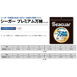Seaguar Premium Tuna 18.8 ft (30 m), No. 24, Clear