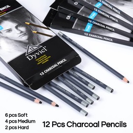 Dyvicl Professional Charcoal Pencils Drawing Set - 12 Pieces Soft, Medium & Hard Charcoal Pencils for Drawing, Sketching, Shading, Artist Pencils for Beginners & Artists