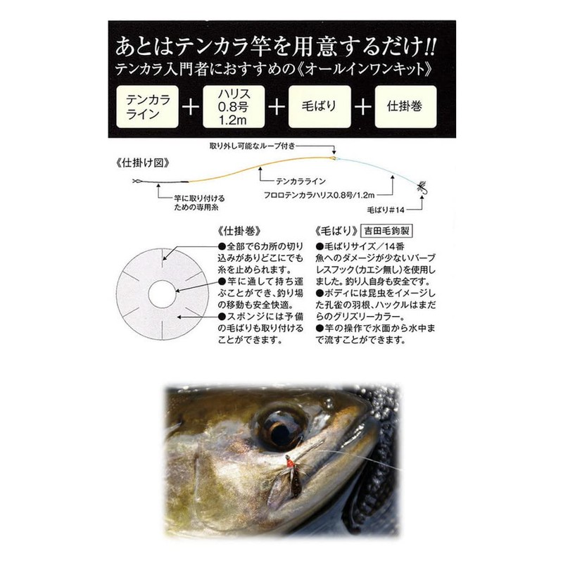 Fujino Tenkara Starter Kit, Straight Line Powerful AQ, 10.9 ft