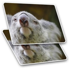 Rectangle Stickers (Set of 2) 10cm - Koala Bear Close Up Australia Laptop Tablet Luggage Scrapbook #21762