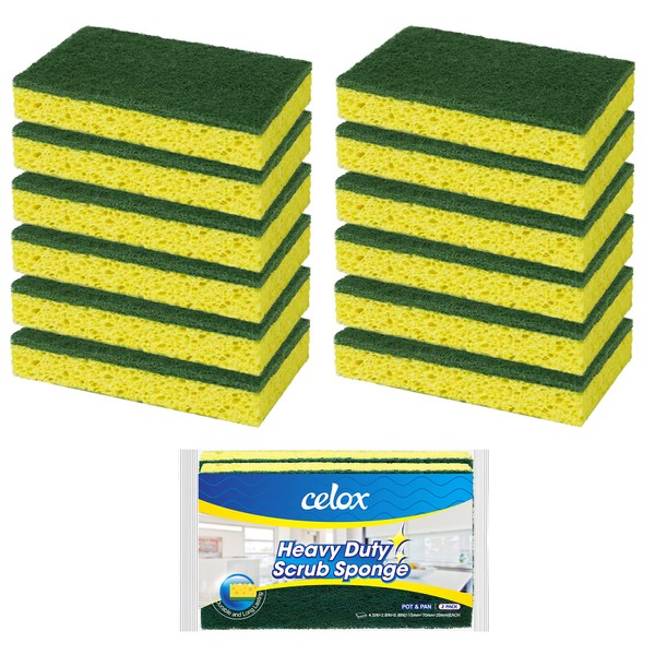 CELOX 12 Pack Dish Sponge for Kitchen, Dual Sided Scrub Heavy Duty, Non Scratch Sponges Perfect for Dishwashing and Household Cleaning, Highly Absorbent and Easy to Dry for Reuse