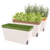 OurWarm Windowsill Herb Planter Box Indoor Set of 3, 10.5