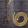 High Temperature Resistance Gold Color Multi-Functional Stainless Steel Shower Hose