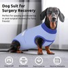 Queenmore Dog Surgical Recovery Suit Onesie, Recovery Suit for Dogs