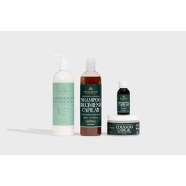Apigreen Kit Reparador para Cabello Maltratado, Seco, Teido o Decolorado  Shampoo sin Sulfatos ni Parabenos, Boost, Acondicionador con cido...        