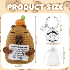 Meanju Pocket Hug Capybara Positive Gifts