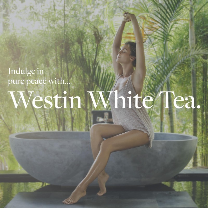 Westin White Tea Aloe Body Lotion | Hotel Spa Cream