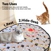 Interactive Cat Toys, Fast Rolling Ball in Play Mat, Automatic