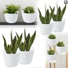 TULMERO Matte Flower Pot, Plastic Planter, Decorative Pot for Large