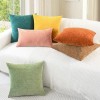 N/A CaliTime 2 Pack Cozy Throw Pillow Covers Cases for