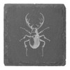 4 x 'Stag Beetle' 10cm Square Slate Coasters (CR00221820)