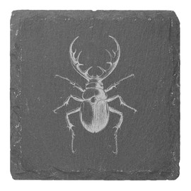 4 x 'Stag Beetle' 10cm Square Slate Coasters (CR00221820)