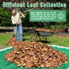 Fruit Collector Harvesting Net - 26.2 x13.1 ft Green Agricultural