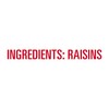 Sun-Maid Raisins Canister (20 Ounce, Pack of 6)