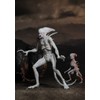 NECA Alien: Covenant - 7" Scale Action Figure - Neomorph