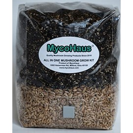 MycoHaus 2 Pack All in One Bag Mushroom Grow Bags with Injection Port 5lbs