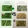 Ohcool Timothy Hay 1.1LB - Dust Free Natural Green Fresh