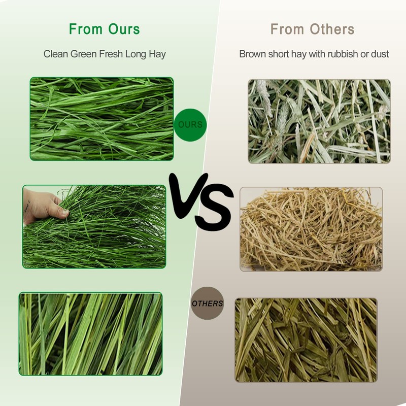 Ohcool Timothy Hay 1.1LB - Dust Free Natural Green Fresh