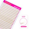TDANCE Brown Premade Fans Eyelash Extensions 320 Fans Premade Lash