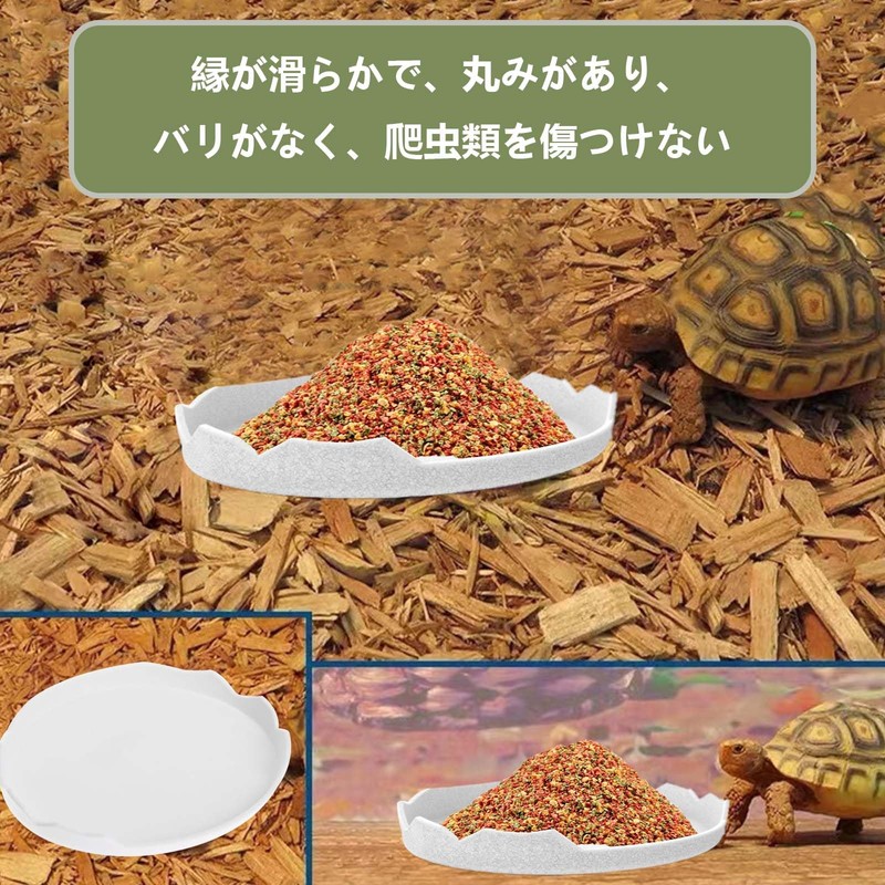 PAVIKE Reptile Water Dish for Reptile Feeding Dish Amphibian Drinking