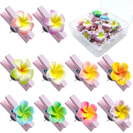 Afagarly Flower Push Pin Clips for Cork Board, Colorful Push Pins with Wooden Clips Decorative Thumb Tacks for Wall Pushpins Thumbtack for Bulletin Board Decorations, Artworks, Notes, Photos 20 Pcs