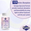 Liposomal Hyaluronic Acid Supplements 1000mg-High Bioavailable Dietary Hyaluronic Acid Capsules-with
