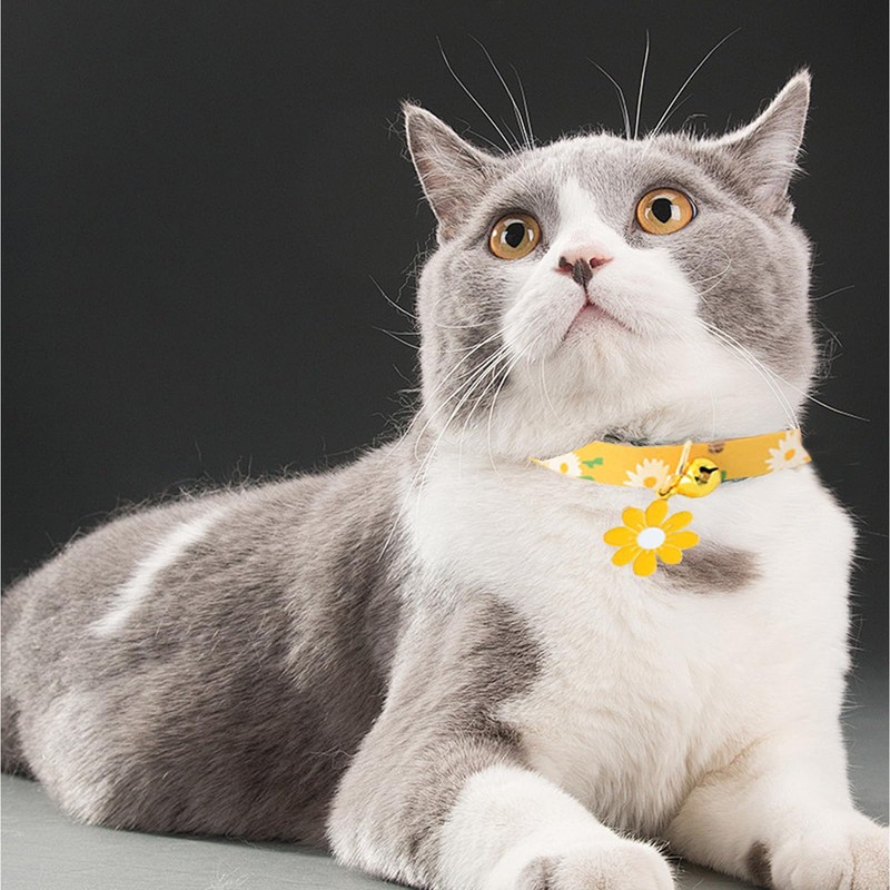 4Pcs Unique Daisy Cat Collar Lovely Comfortable Quick Release Kitten