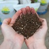 Plant Propagation Potting Mix (4 Quarts); Ideal Starter Mix for