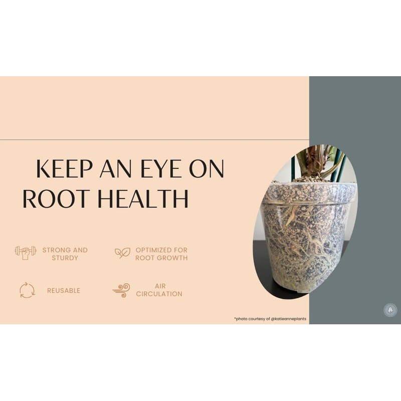 karenplantsplants™ 9" Clear Plastic Nursery Pot (Clear - 10 Pack)