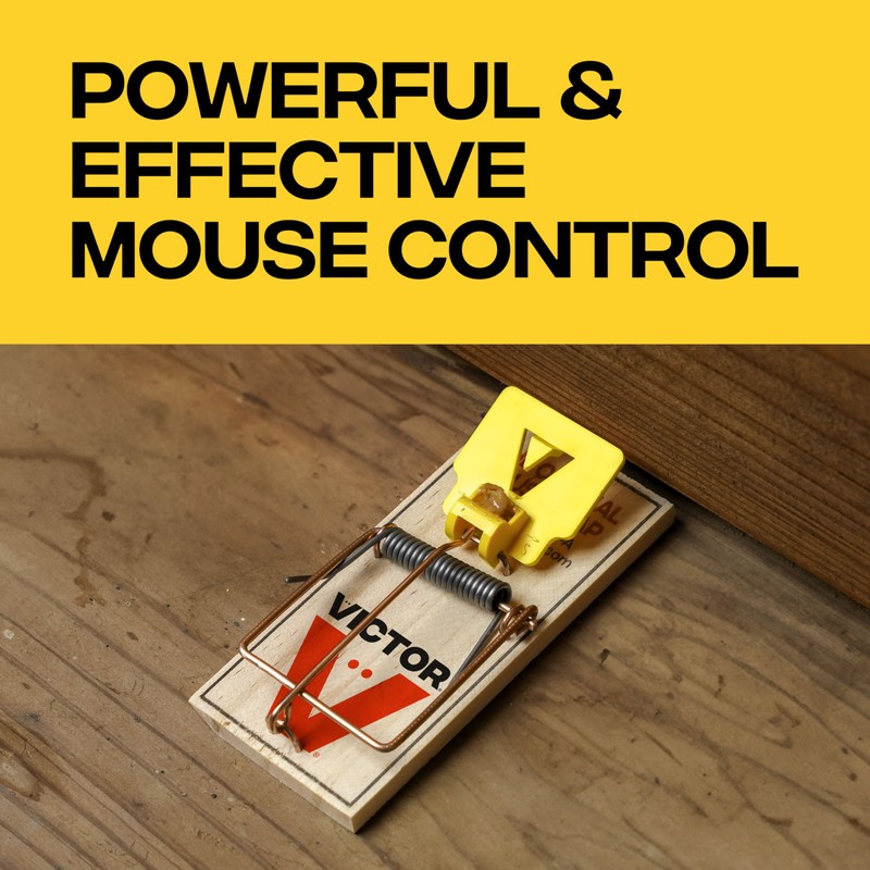 Victor Mouse Traps M035-12, Plastic Pedal, Sustainably Sourced FSC Wood,