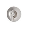 Birch Wall Mounted Shower Valve Trim with Volume Control Lever
