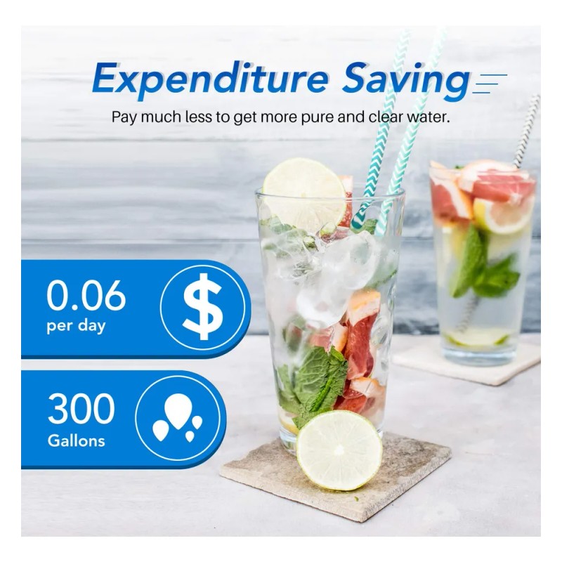 Filtro De Agua Para Refrigerador Icepure -uete De 6