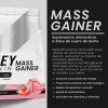 Suplemento Polvo Psn Whey Protein Mass Gainer 27kg Fresa
