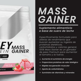 Suplemento Polvo Psn Whey Protein Mass Gainer 27kg Fresa