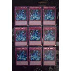 x9 Torrential Tribute GRCR-EN057 | Rare | 1st Edition | Yu-Gi-Oh!