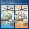 warmiplanet 52 Inch Indoor Ceiling Fans with Lights and Remote