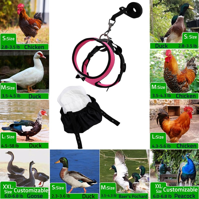 Yesito Adjustable Chicken Harness Diaper (5.4ft Leash) – Breathable &