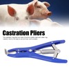 Castration Pliers Animal Tail Docking Clamp with 100 Red Rings