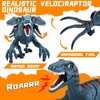 APOBATK Large Remote Control Velociraptor Toy - Realistic Walking Dinosaur