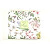 Portmeirion Botanic Garden Teaspoons | Set of 6 Teaspoons with