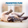 SunGrow Catnip for Cats, for Scratching Posts, Walls, or Pads,