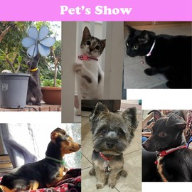 XXS Dog Collar with Bell, 2-Pack Basic & Reflective Cat Collar with Bells for XXS Xs Small Pet Dogs Boy Tiny Kitten Girls Animal, Hot Pink Neck 7-12 inch