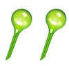 WHTCHSU 2 Pack Small Self-Plant Watering Globes – Automatic Plant