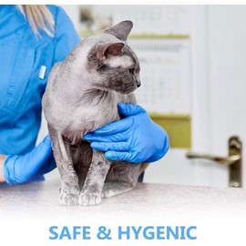 Fusion Vibes Blue Vinyl Disposable Gloves XL 100 Pack - Latex Free, Powder Free Medical Exam Gloves - Surgical, Home, Cleaning, and Food Gloves - Ambidextrous (XL Pack of 100)