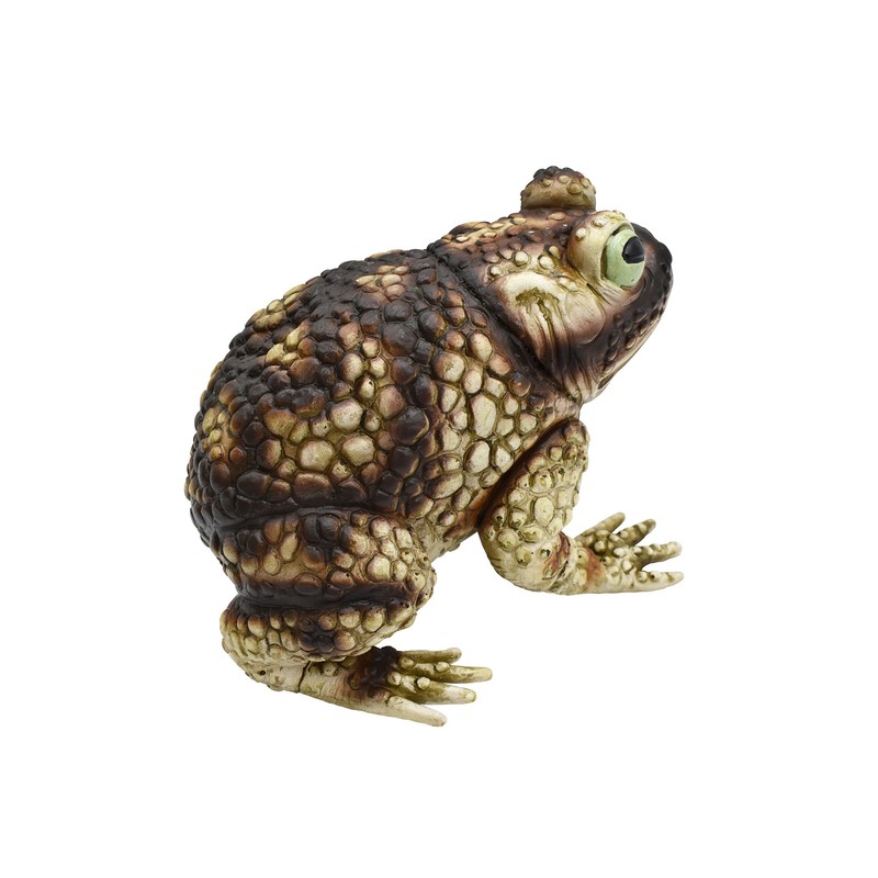 Nicky Bigs Novelties Giant Rubber Toad Prop Decoration, Multi, 25cm