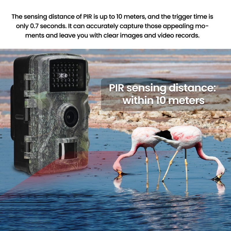 Trail Camera 2.0in IP66 Water Proof 1080P HD Outdoor Camera